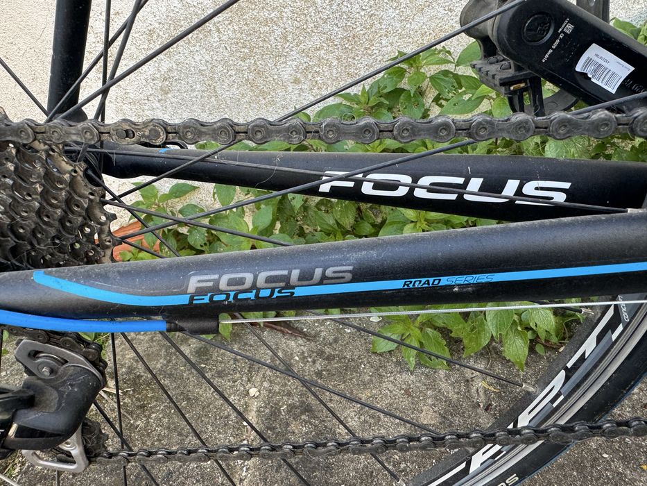 Bicicleta estarda focus