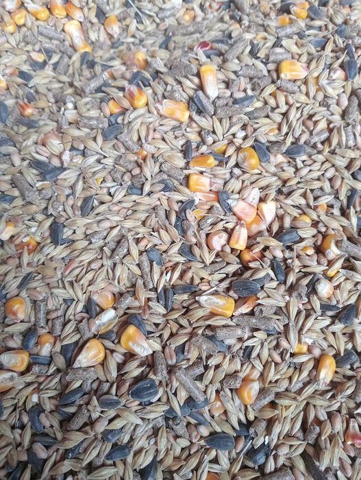 Karma dla królików 25 kg