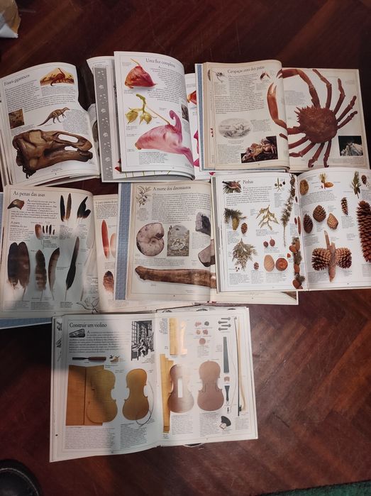 Enciclopédia visual da Verbo e Jornal de notícias