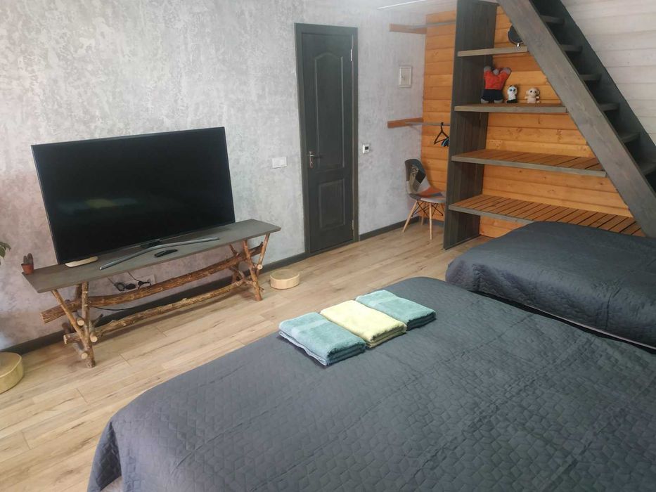 Будинок з басейном і сауною (входить у вартість)  біля Ходосівки