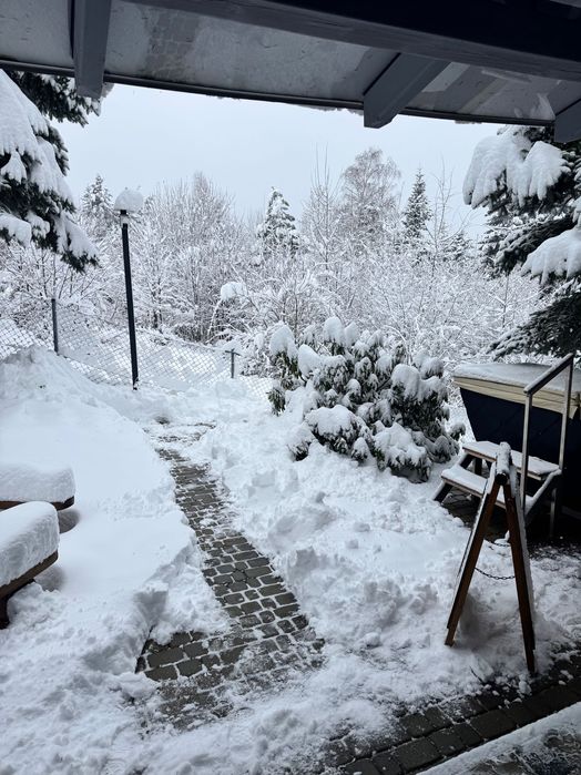 Górski Drewniany Domek w lesie termy sauna SPA las góry jezioro