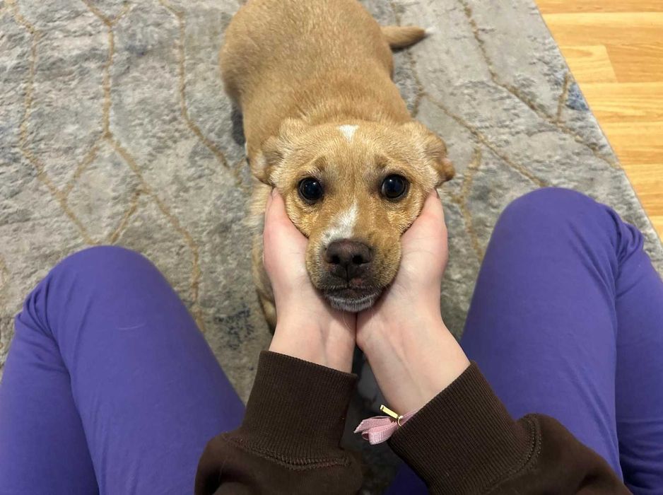 Oddam w dobre ręce !!!