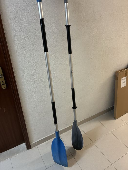Pagaias (remos)