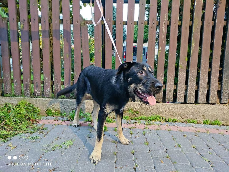 Siedlce, ul. 11 Listopada, okolice, czyja zguba?