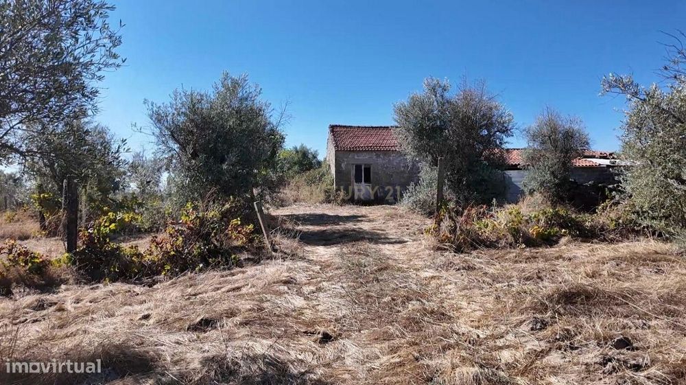 Business Opportunity! Rustic Land Plot of 2.7 Ha in Alcains, Castelo Branco
