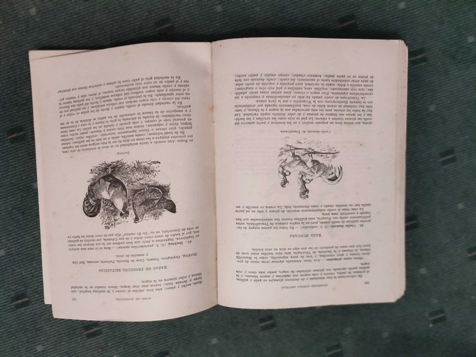 Mi Libro de Gallinas