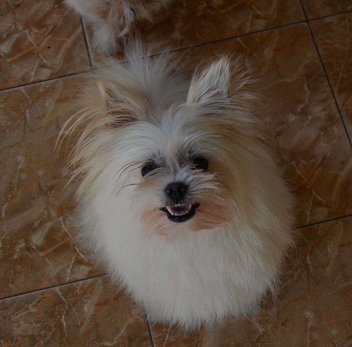 Гарна дівчинка 5 років.