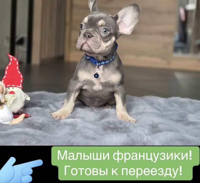 Французики мини стандарт