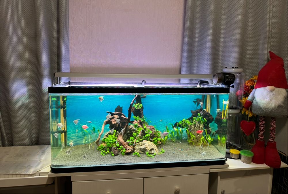 Акваріумний світильник Rival