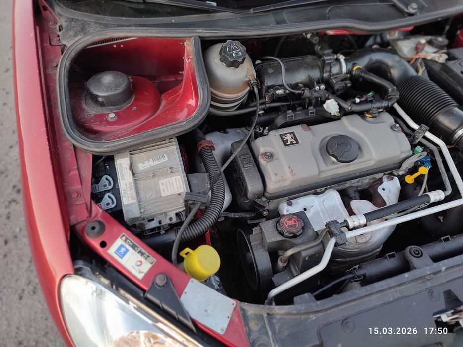 Peugeot 206 2005 рік