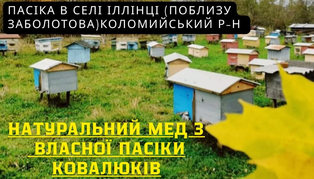 Мед натуральний.