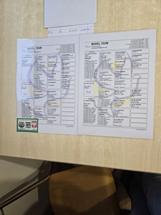 Gołębie pocztowe 76