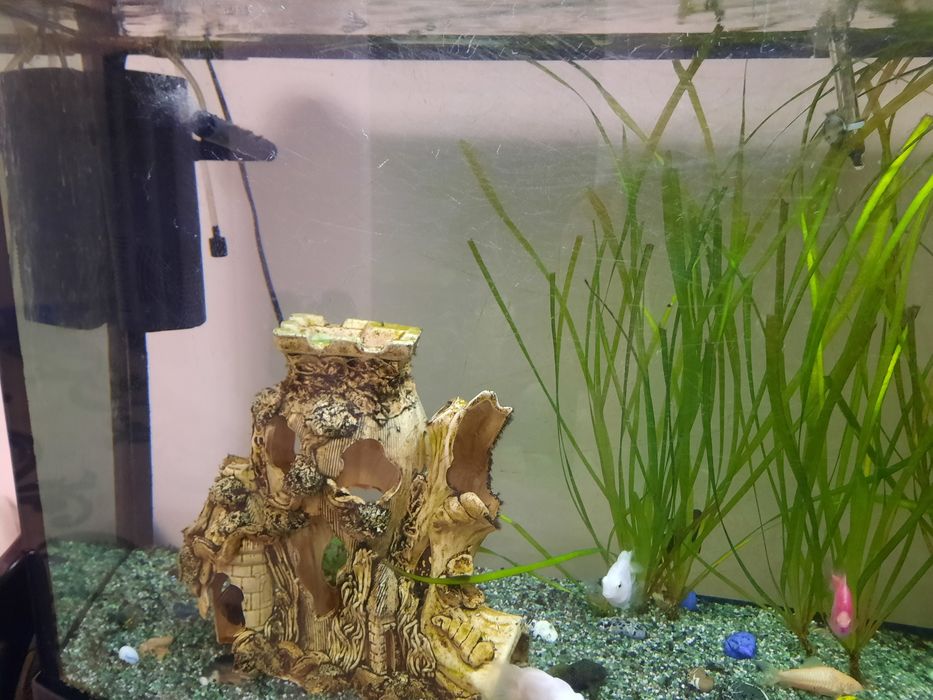 Акваріум 225л весь комплект