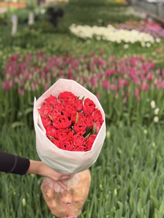 Квіти Оптом !приймаємо замовлення до 8 березня!