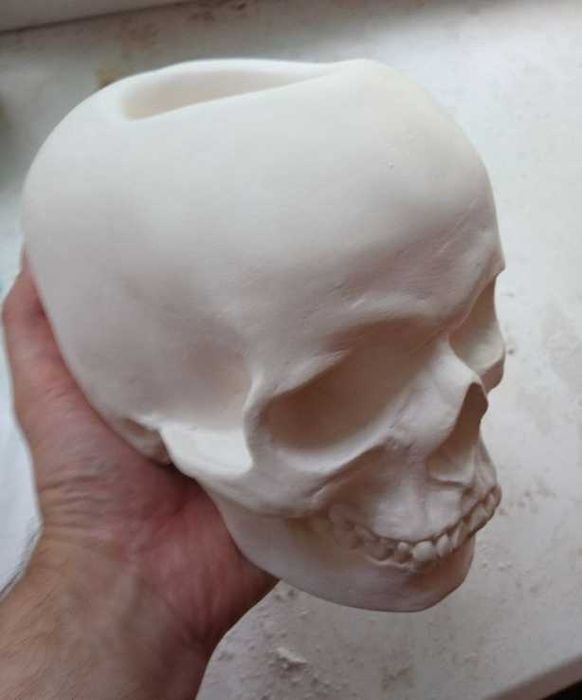 Кашпо, череп человека, человеческий череп, пенал, подставка для ручек