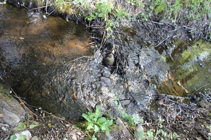 Quinta,3ruinas,Agua,hortas,Paz e privacidade