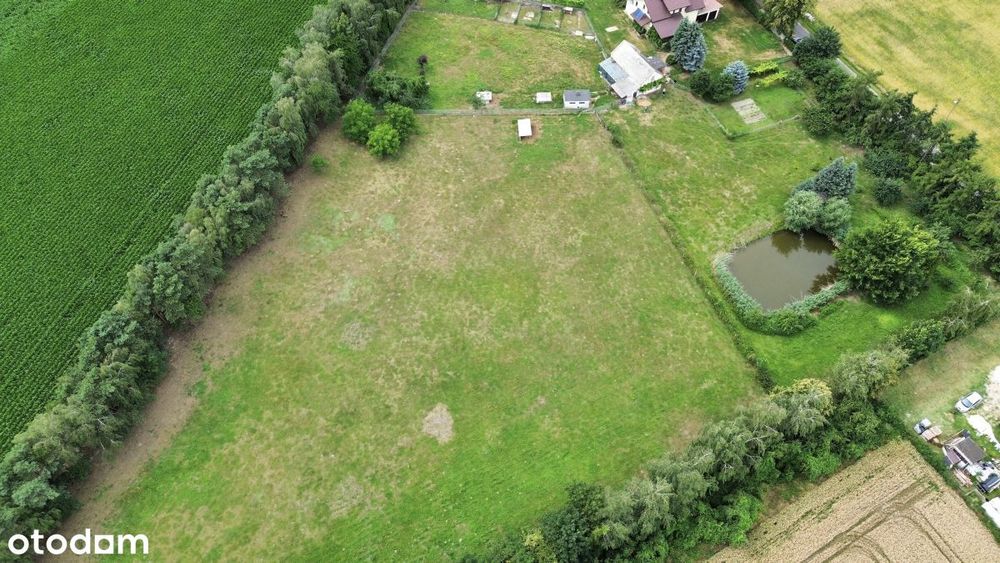 Działka budowlana- Brzóstownia |Książ Wlkp. | WZ|POZNAŃ-JAROCIN - Widok 5