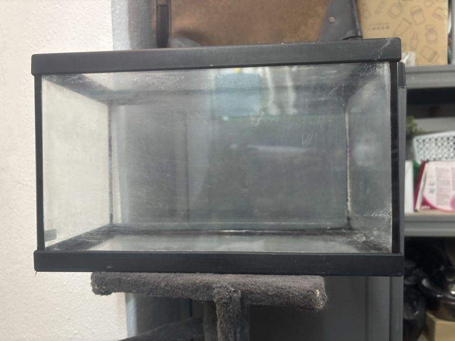 Aquario preto da para peixes oubpara tartarugas