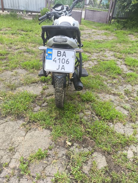 Alpha 125 lx champ