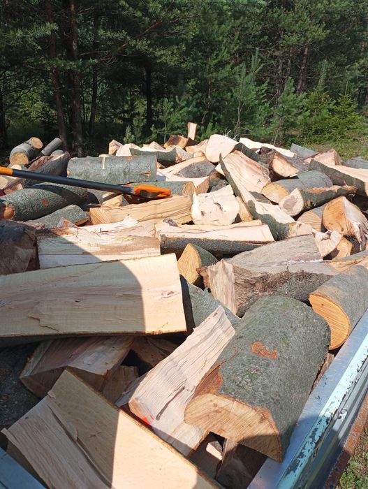 Drewno opałowe/ kominkowe