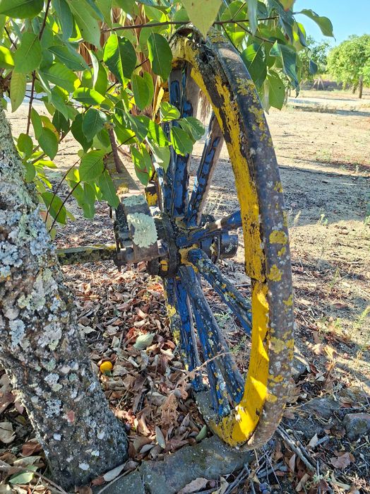 Carroça antiga - eixo de ferro original com duas rodas de carroça antiga