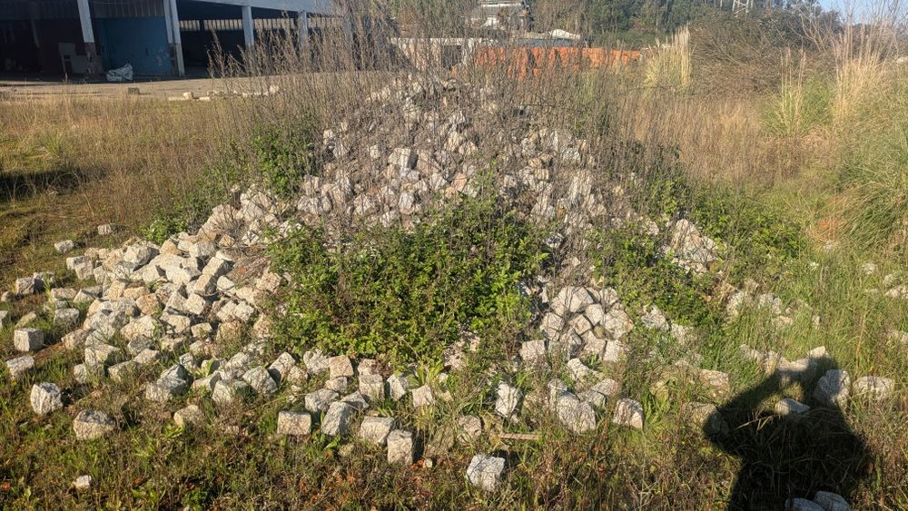 Paralelos novos para vender