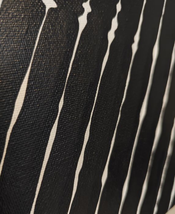 Obraz akrylowy na płótnie malowany farbami Farby Czarny Biały Duży 100