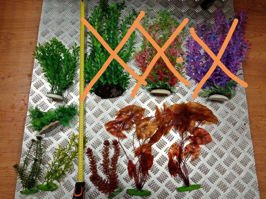 Декорації для акваріума. Рослини. Водорослі.