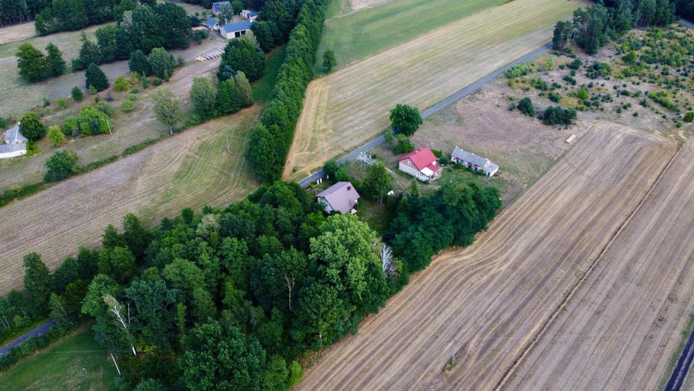 49 zł m2 Działka budowlana 1550 m² Las Rzeka - Widok 4