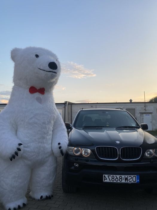 Sprzedam Biały Miś 2.8 m