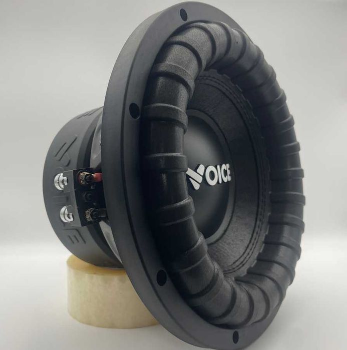 Динамік на саб  10 дюймів сабвуфер 25см 500вт rms 2+2 ом