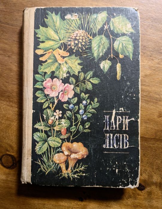 З.Е. Елин. Дары лесов