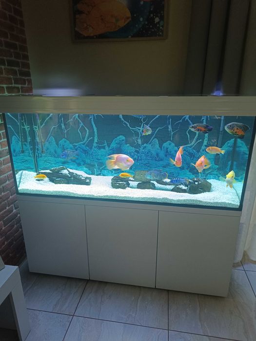 Akwarium 405L z pełnym wyposażeniem i pompą Aqua Nowa NFC 1500 – Gotowy Zestaw!