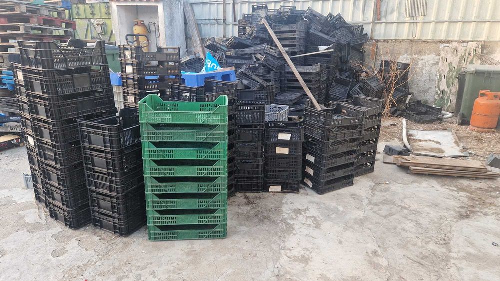 Caixas plasticas para fruta
