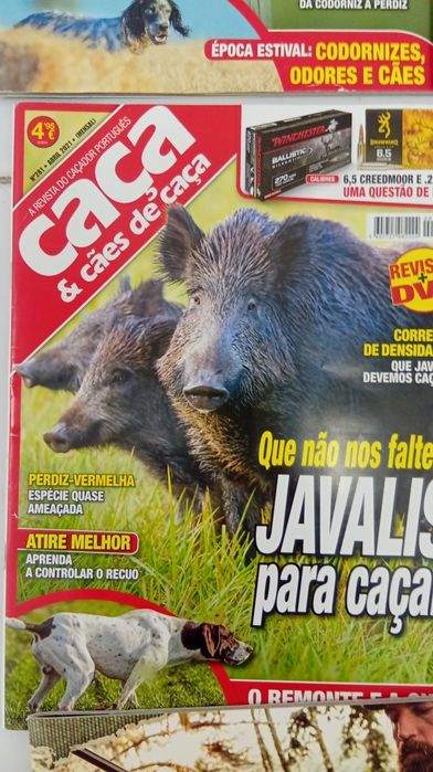 Revistas de caça e cães de caça
