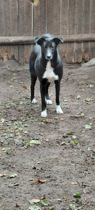 В добрі ручки гарна дівчинка.