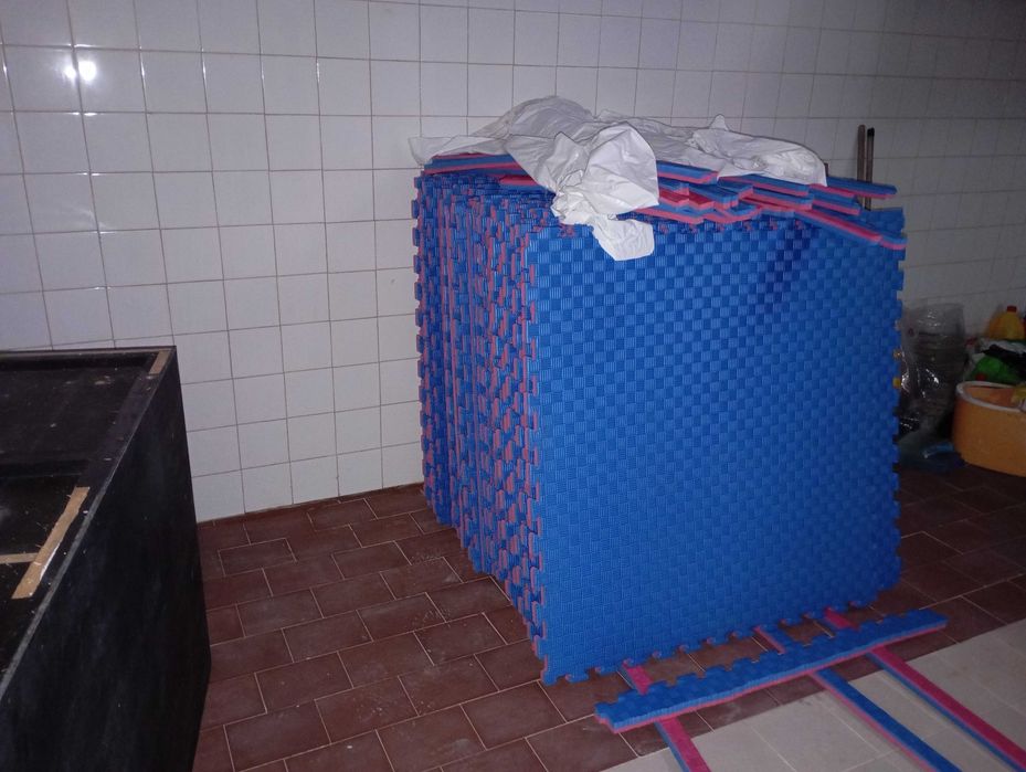 Placa de tatami de 2,5cm Novo