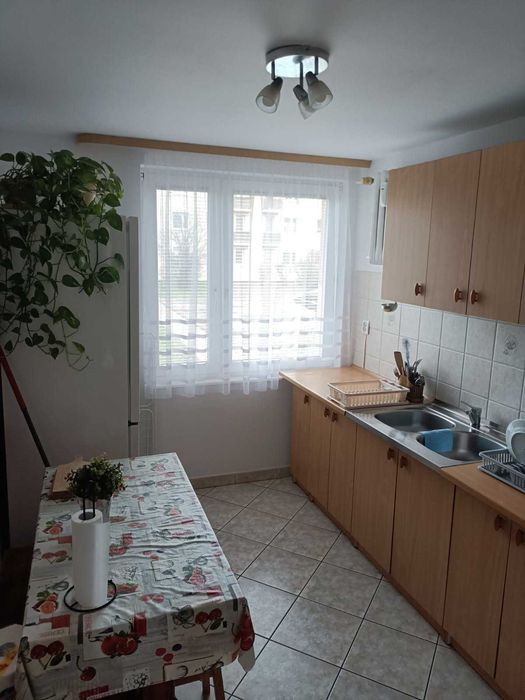 Pokój jednoosobowy do wynajęcia