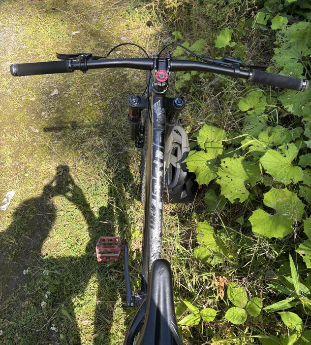 Dartmoor hornet 2022