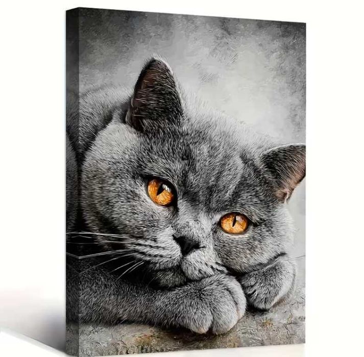 Nowy obraz na płótnie kot