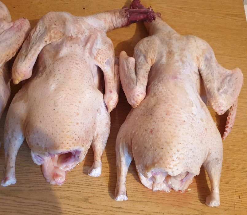 Tuszki z krwią pod zamówienie