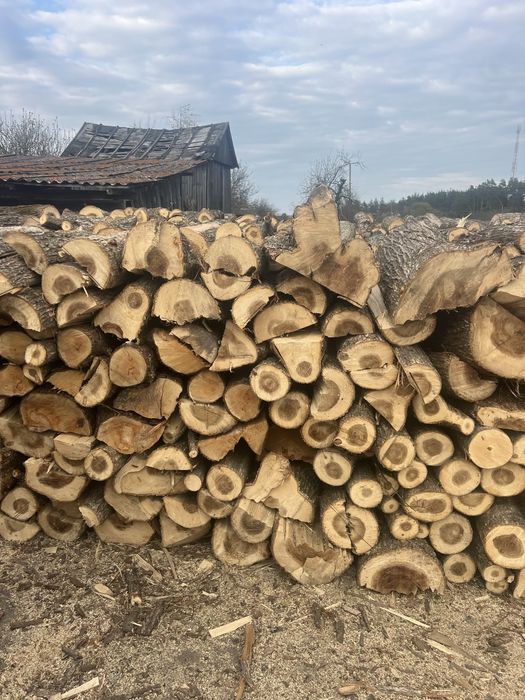 Дрова дуб береза акація
