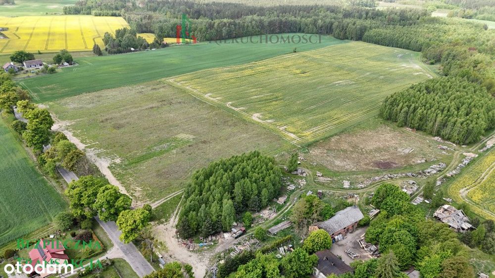 Działki budowlane | Warunki Zabudowy | Kobyle