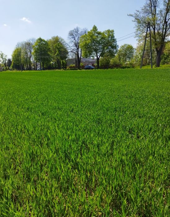 Działka budowlana - Więcej