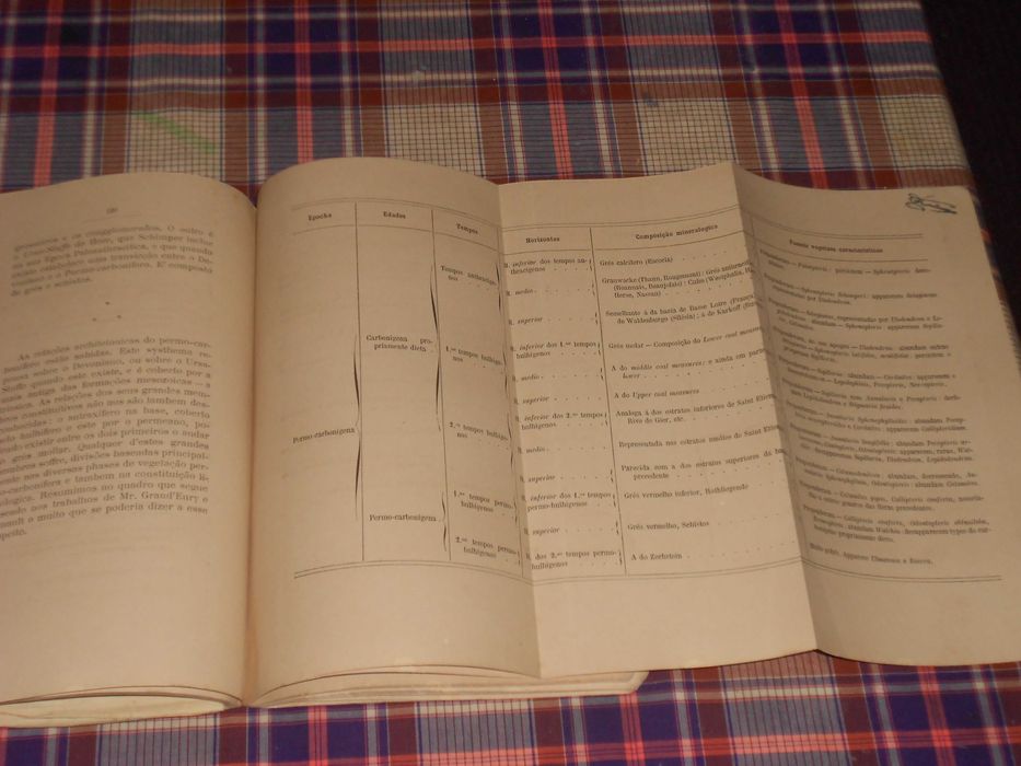 Litologia - Lithologia - Carvoes Naturais - 1882 - Wenceslau de Lima