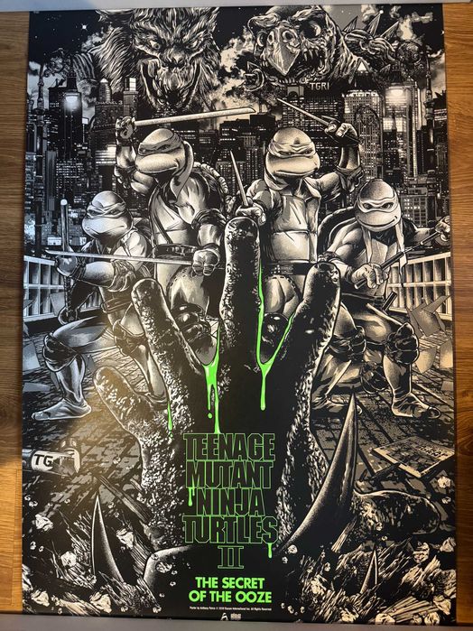 plakat Teenage ninja turtles II