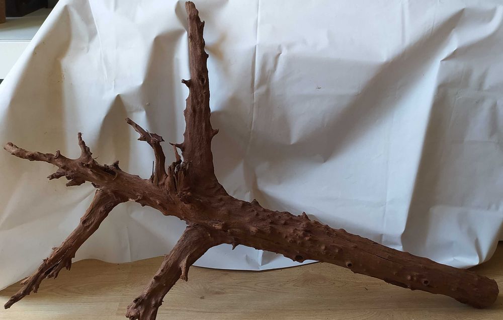 Olbrzymi korzeń -110cmx80cm