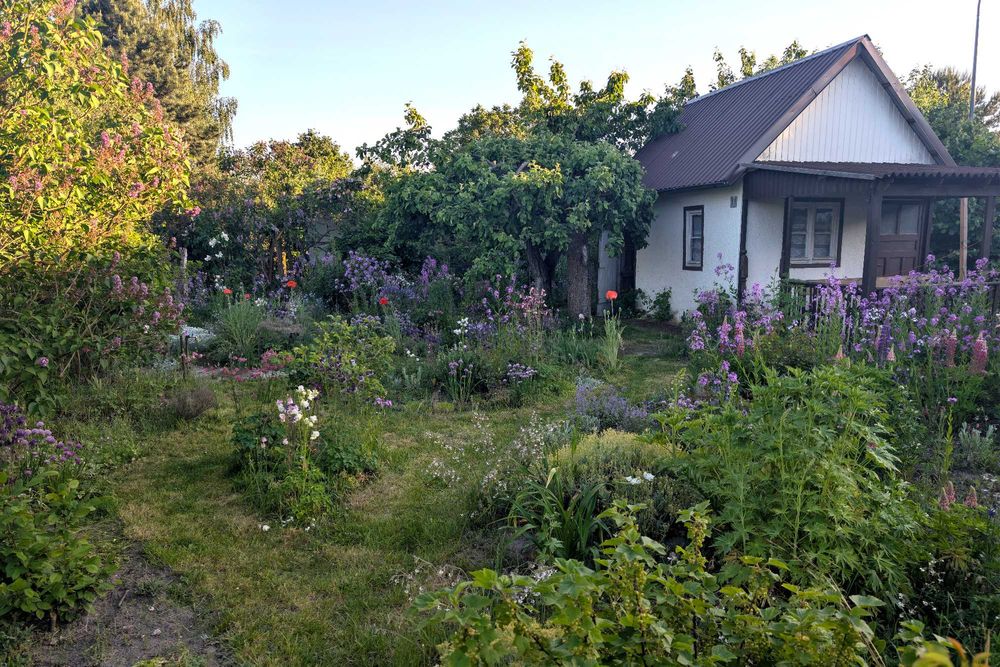 Działka 523 m2 ROD Staszica w Szczecinie ul. Ku Słońcu