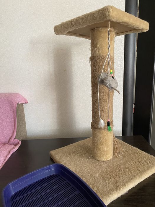 Кігтеточка для котів + туалет