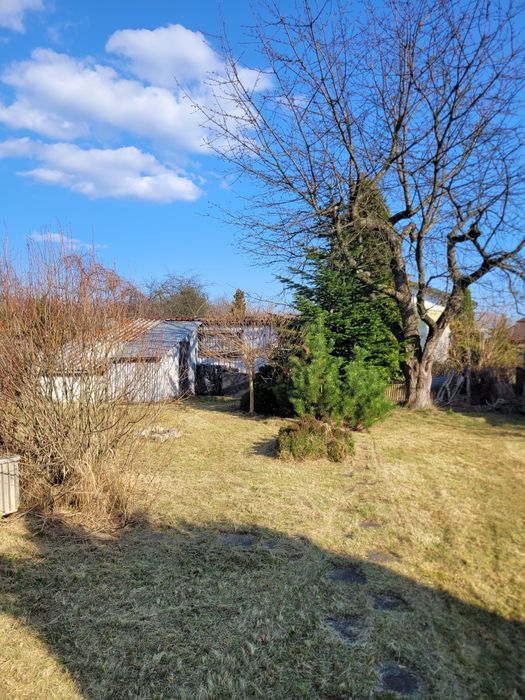 Działka ROD w Sosnowcu